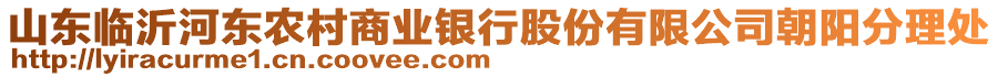 山東臨沂河?xùn)|農(nóng)村商業(yè)銀行股份有限公司朝陽分理處