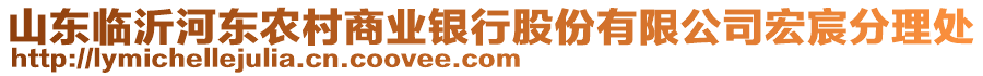 山東臨沂河?xùn)|農(nóng)村商業(yè)銀行股份有限公司宏宸分理處