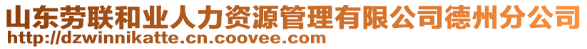 山東勞聯(lián)和業(yè)人力資源管理有限公司德州分公司