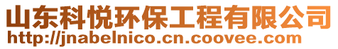 山東科悅環(huán)保工程有限公司