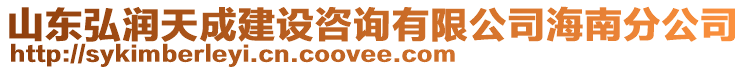 山東弘潤天成建設咨詢有限公司海南分公司