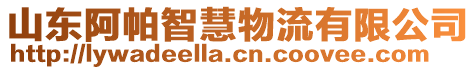 山東阿帕智慧物流有限公司