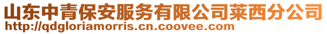 山東中青保安服務有限公司萊西分公司