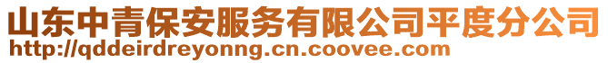 山東中青保安服務(wù)有限公司平度分公司