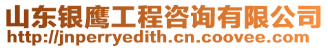 山東銀鷹工程咨詢有限公司