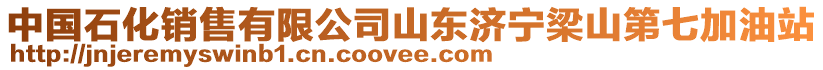 中國(guó)石化銷售有限公司山東濟(jì)寧梁山第七加油站