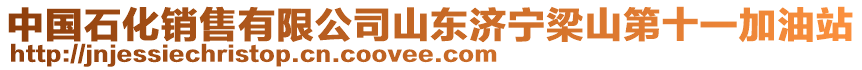 中國石化銷售有限公司山東濟(jì)寧梁山第十一加油站