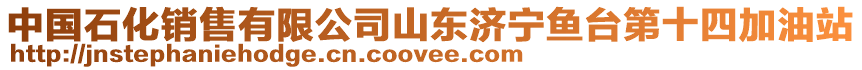 中國(guó)石化銷售有限公司山東濟(jì)寧魚(yú)臺(tái)第十四加油站