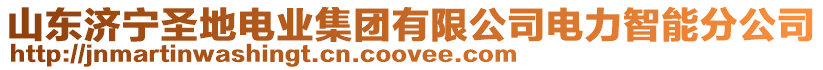 山東濟(jì)寧圣地電業(yè)集團(tuán)有限公司電力智能分公司