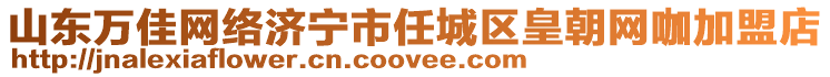 山東萬佳網(wǎng)絡(luò)濟(jì)寧市任城區(qū)皇朝網(wǎng)咖加盟店