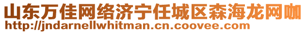 山東萬佳網(wǎng)絡(luò)濟(jì)寧任城區(qū)森海龍網(wǎng)咖