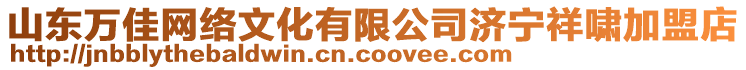 山東萬(wàn)佳網(wǎng)絡(luò)文化有限公司濟(jì)寧祥嘯加盟店