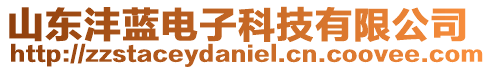 山東灃藍(lán)電子科技有限公司