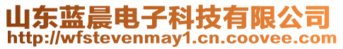 山東藍晨電子科技有限公司