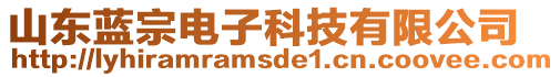 山東藍(lán)宗電子科技有限公司