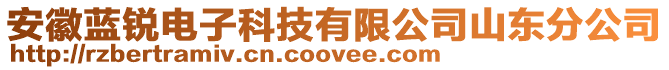 安徽藍(lán)銳電子科技有限公司山東分公司