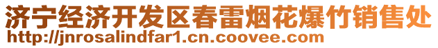 濟寧經(jīng)濟開發(fā)區(qū)春雷煙花爆竹銷售處