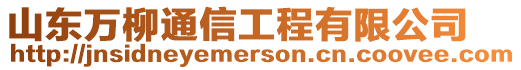 山東萬柳通信工程有限公司