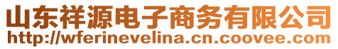 山東祥源電子商務有限公司
