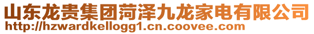 山東龍貴集團菏澤九龍家電有限公司