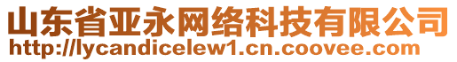 山東省亞永網(wǎng)絡(luò)科技有限公司