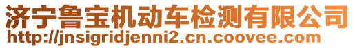 濟(jì)寧魯寶機(jī)動車檢測有限公司