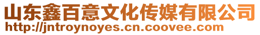 山東鑫百意文化傳媒有限公司