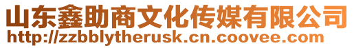 山東鑫助商文化傳媒有限公司