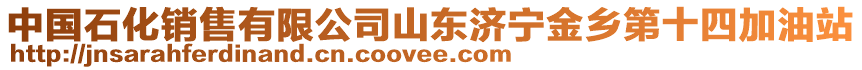 中國(guó)石化銷售有限公司山東濟(jì)寧金鄉(xiāng)第十四加油站