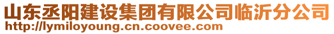 山東丞陽建設集團有限公司臨沂分公司