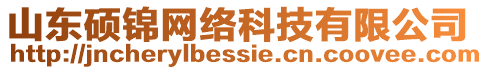 山東碩錦網(wǎng)絡(luò)科技有限公司