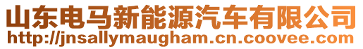 山東電馬新能源汽車有限公司