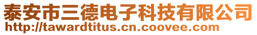 泰安市三德電子科技有限公司