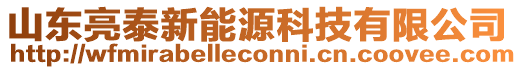 山東亮泰新能源科技有限公司