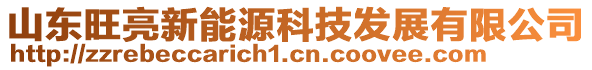 山東旺亮新能源科技發(fā)展有限公司