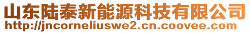 山東陸泰新能源科技有限公司