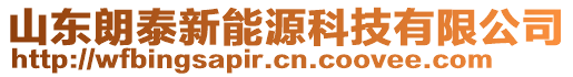 山東朗泰新能源科技有限公司