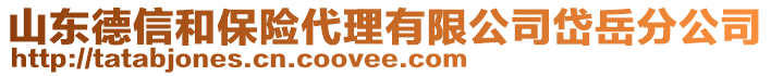 山東德信和保險(xiǎn)代理有限公司岱岳分公司