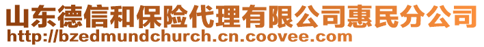 山東德信和保險(xiǎn)代理有限公司惠民分公司