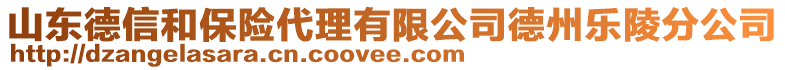 山東德信和保險(xiǎn)代理有限公司德州樂(lè)陵分公司