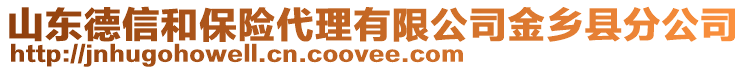 山东德信和保险代理有限公司金乡县分公司