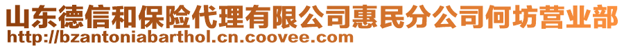 山东德信和保险代理有限公司惠民分公司何坊营业部