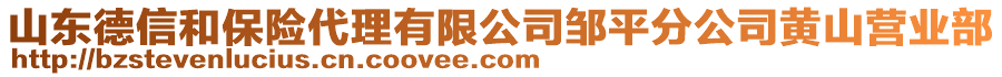 山東德信和保險代理有限公司鄒平分公司黃山營業(yè)部