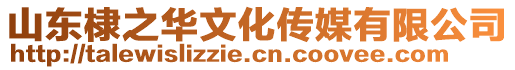 山東棣之華文化傳媒有限公司