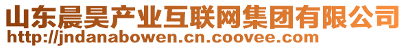 山東晨昊產(chǎn)業(yè)互聯(lián)網(wǎng)集團(tuán)有限公司