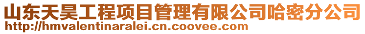 山東天昊工程項目管理有限公司哈密分公司