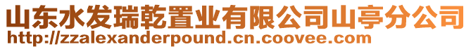 山東水發(fā)瑞乾置業(yè)有限公司山亭分公司