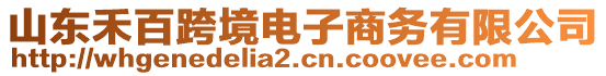 山東禾百跨境電子商務(wù)有限公司