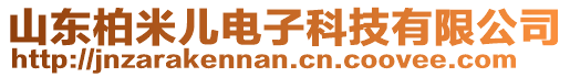 山東柏米兒電子科技有限公司