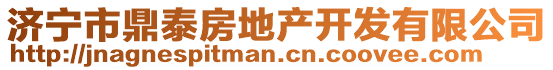 濟寧市鼎泰房地產開發(fā)有限公司